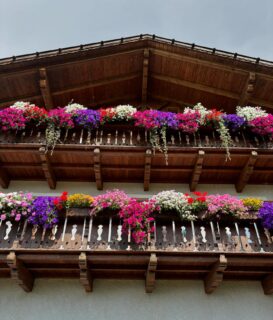 Fiori contagiosi 🌸🌺🌷🪷🌼 #flowerstagram #flowerslifestyle #monicaglifestyle🌸 #italy🇮🇹 #southtyrol